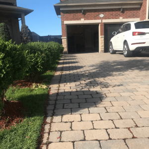 Before (Custom)